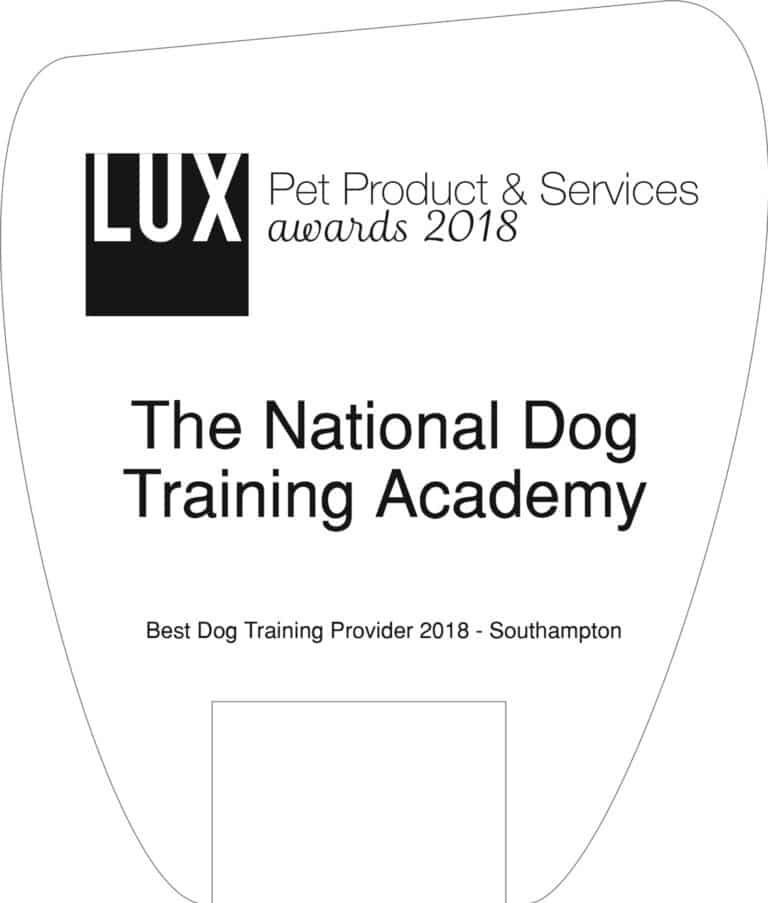 LPP18003 The National Dog Training Academy 2018 Pet Product & Services Awards (CH604) Trophy x1