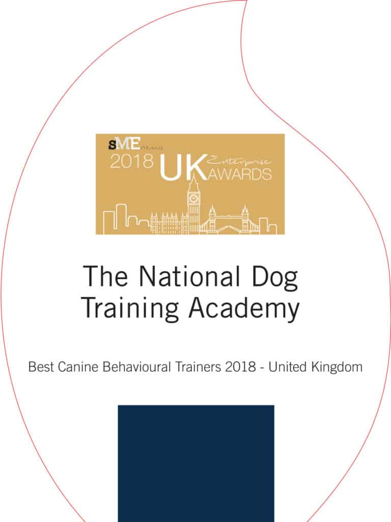 UKE18009 The National Dog Training Academy UK ENTERPRISE 2018 Awards (CH158 L BK CRYSTAL FLAME REPL) Trophy x1