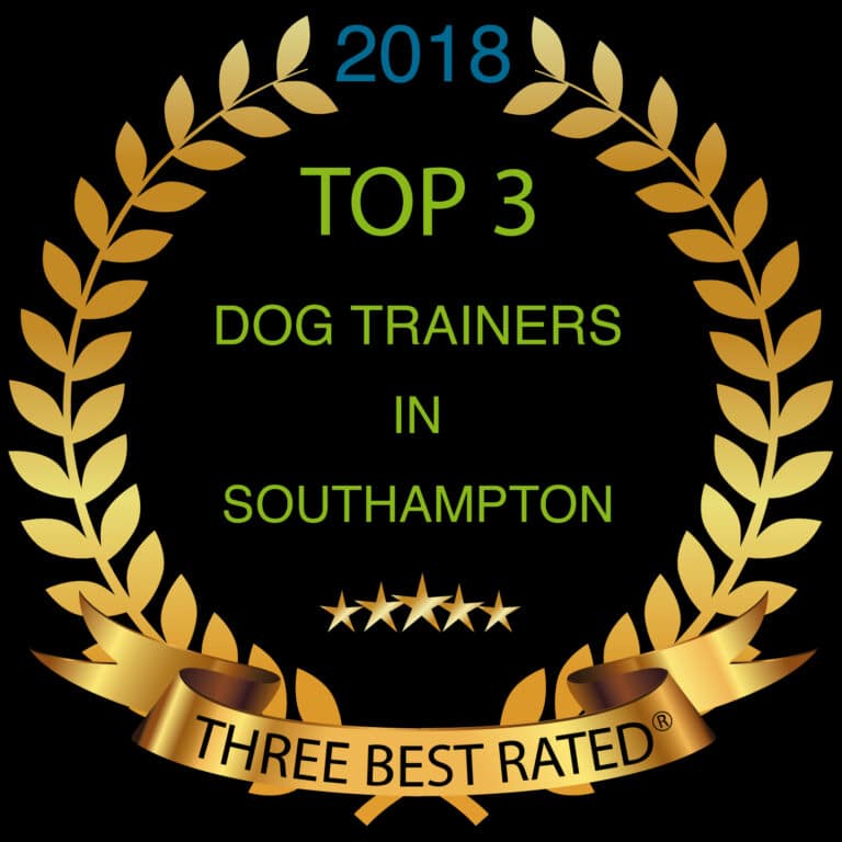 dog trainers southampton 2018 drk