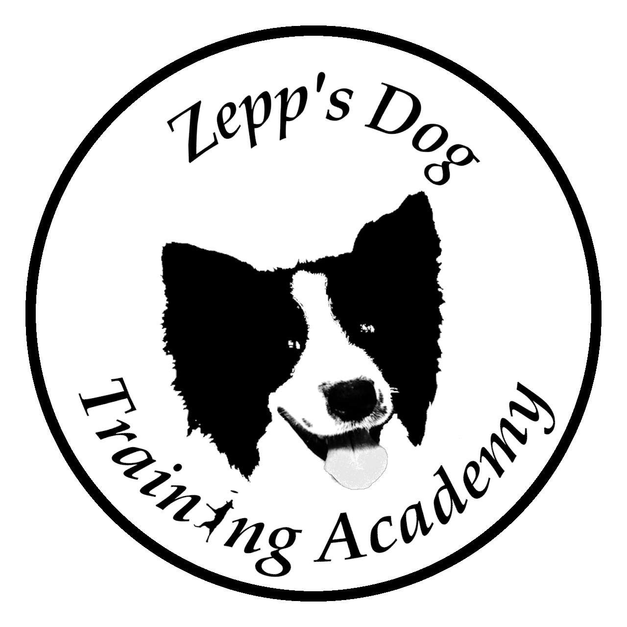 How to a Dog Trainer