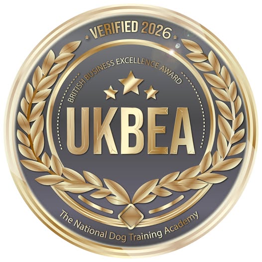 2026 British Business Excellence Award
